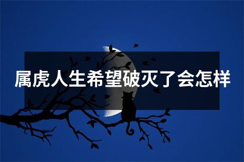 <h3>属虎人生希望破灭了会怎样