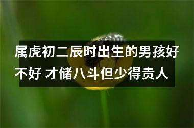 <h3>属虎初二辰时出生的男孩好不好 才储八斗但少得贵人
