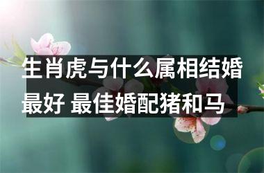 <h3>生肖虎与什么属相结婚好 佳婚配猪和马