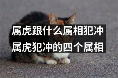 <h3>属虎跟什么属相犯冲 属虎犯冲的四个属相