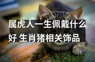 <h3>属虎人一生佩戴什么好 生肖猪相关饰品