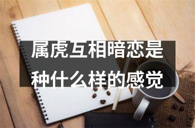 <h3>属虎互相暗恋是种什么样的感觉