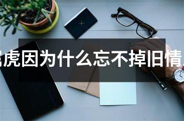 <h3>属虎因为什么忘不掉旧情人