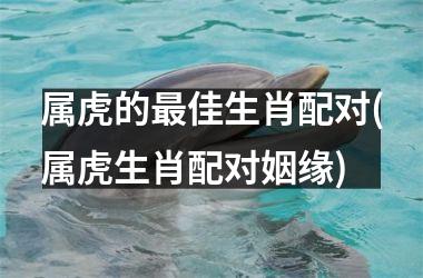 <h3>属虎的佳生肖配对(属虎生肖配对姻缘)