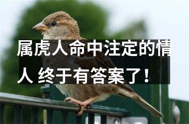 属虎人命中注定的情人 终于有答案了！
