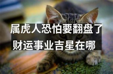 <h3>属虎人恐怕要翻盘了 财运事业吉星在哪