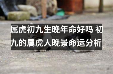属虎初九生晚年命好吗 初九的属虎人晚景命运分析