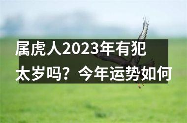 <h3>属虎人2025年有犯太岁吗？今年运势如何