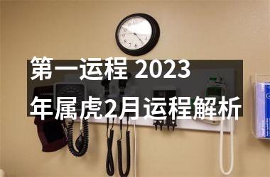 <h3>第一运程 2025年属虎2月运程解析