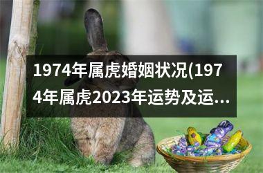 <h3>1974年属虎婚姻状况(1974年属虎2025年运势及运程每月运程)