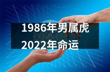 1986年男属虎2025年命运
