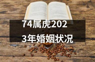 <h3>74属虎2025年婚姻状况