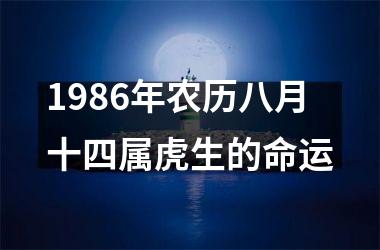 <h3>1986年农历八月十四属虎生的命运