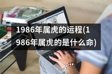 <h3>1986年属虎的运程(1986年属虎的是什么命)