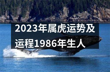 <h3>2025年属虎运势及运程1986年生人