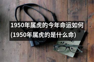 <h3>1950年属虎的今年命运如何(1950年属虎的是什么命)