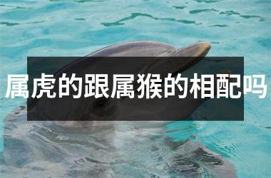 <h3>属虎的跟属猴的相配吗
