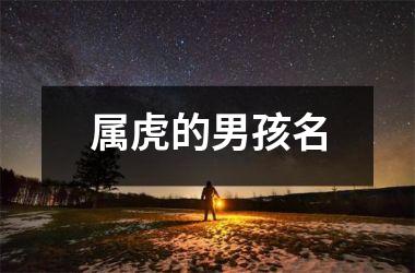 属虎的男孩名