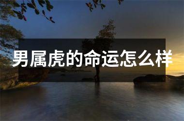 <h3>男属虎的命运怎么样