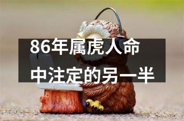 <h3>86年属虎人命中注定的另一半