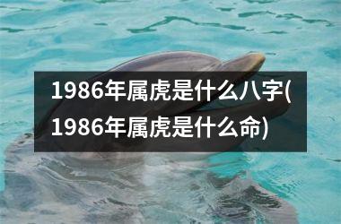 <h3>1986年属虎是什么八字(1986年属虎是什么命)
