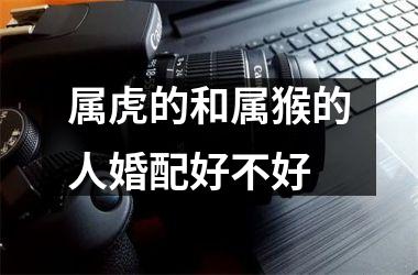<h3>属虎的和属猴的人婚配好不好
