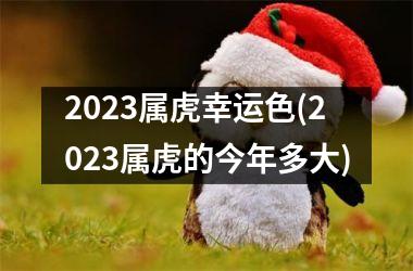2025属虎幸运色(2025属虎的今年多大)