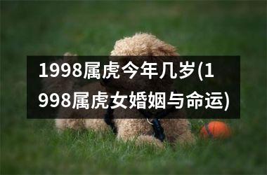 <h3>1998属虎今年几岁(1998属虎女婚姻与命运)