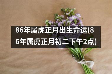 86年属虎正月出生命运(86年属虎正月初二下午2点)