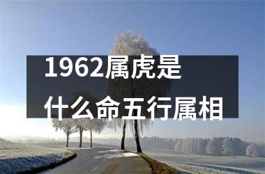 <h3>1962属虎是什么命五行属相