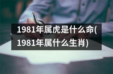1981年属虎是什么命(1981年属什么生肖)