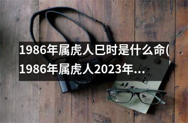 1986年属虎人巳时是什么命(1986年属虎人2025年运势)