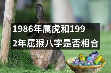 1986年属虎和1992年属猴八字是否相合