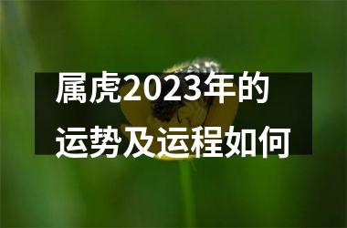 <h3>属虎2025年的运势及运程如何