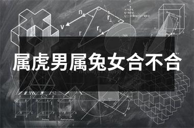属虎男属兔女合不合
