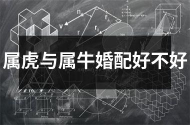 <h3>属虎与属牛婚配好不好