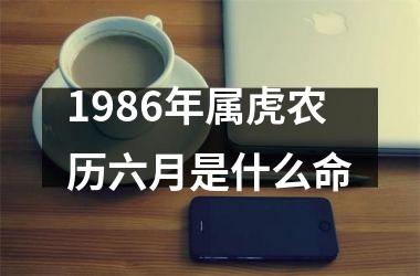 1986年属虎农历六月是什么命