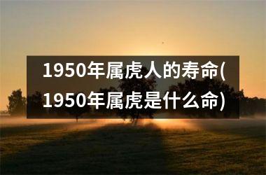 1950年属虎人的寿命(1950年属虎是什么命)