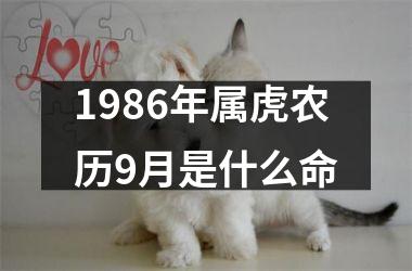 1986年属虎农历9月是什么命