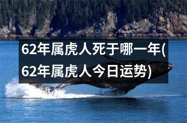 62年属虎人死于哪一年(62年属虎人今日运势)