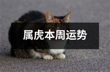 <h3>属虎本周运势