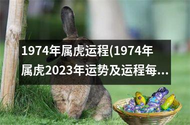 1974年属虎运程(1974年属虎2025年运势及运程每月运程)