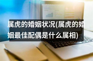 <h3>属虎的婚姻状况(属虎的婚姻最佳配偶是什么属相)