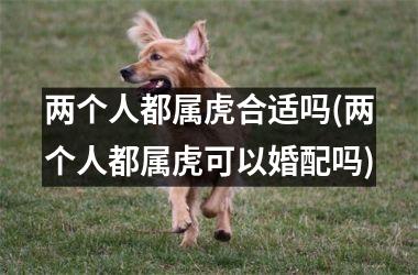 <h3>两个人都属虎合适吗(两个人都属虎可以婚配吗)
