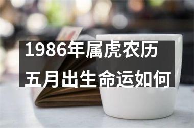 1986年属虎农历五月出生命运如何