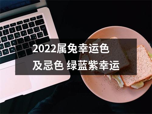 2025属兔幸运色及忌色绿蓝紫幸运