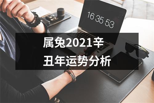 <h3>属兔2025辛丑年运势分析