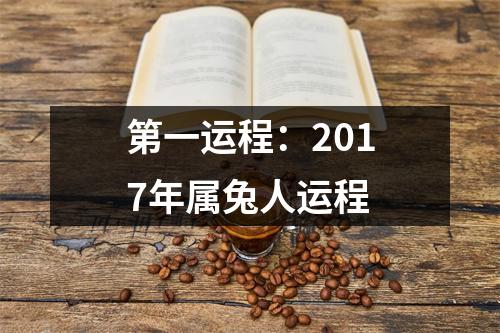 2017年属兔人运程