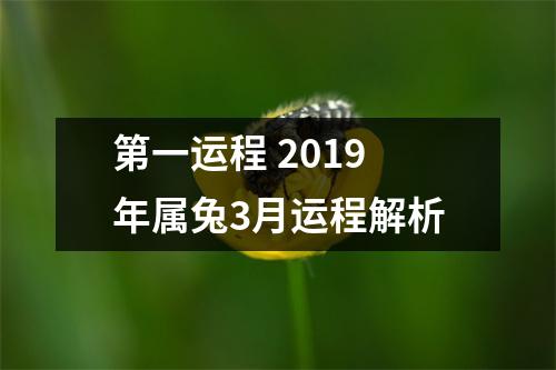 <h3>第一运程2019年属兔3月运程解析
