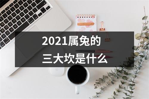 2025属兔的三大坎是什么